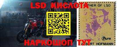 spice Усть-Джегута