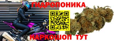 spice Усть-Джегута