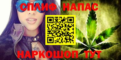 spice Усть-Джегута