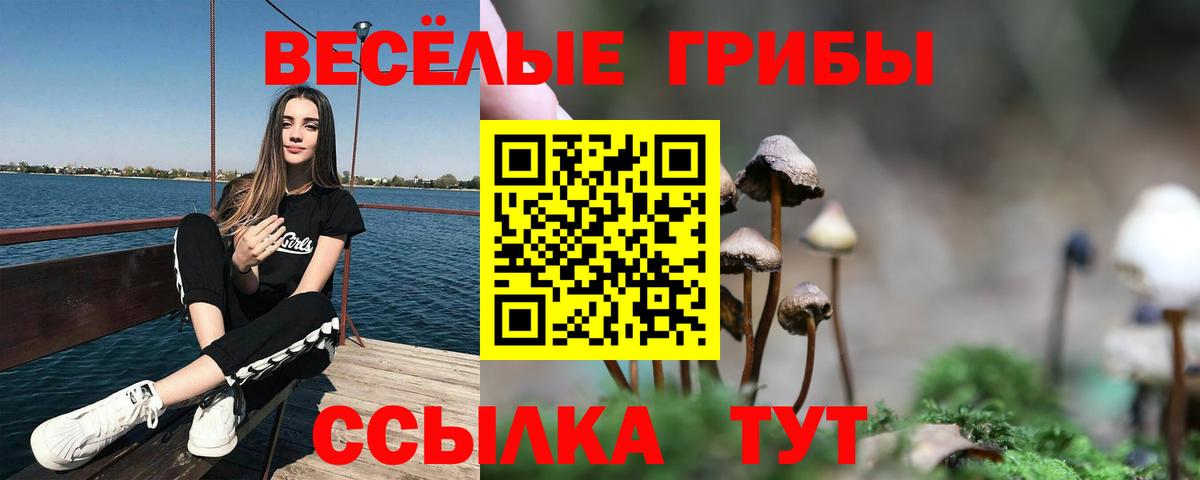 Псилоцибиновые грибы ЛСД  Псилоцибиновые грибы Psilocybine cubensis  Белореченск  Вход с VPN 