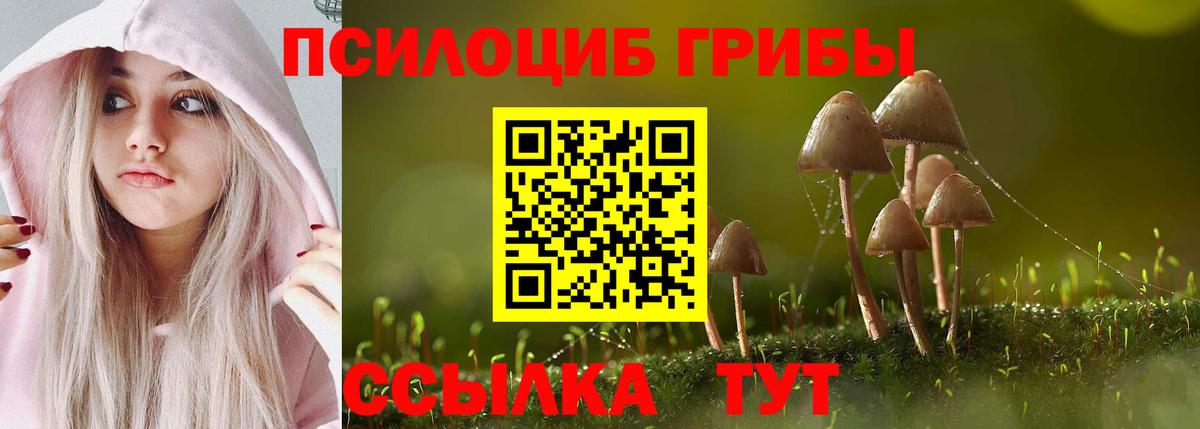 Псилоцибиновые грибы Cubensis Белореченск